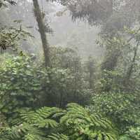 Monteverde 