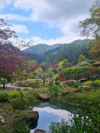 Garden of morning calm 🌿