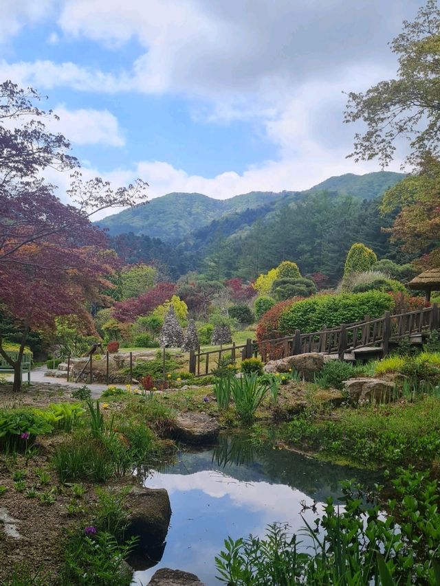 Garden of morning calm 🌿
