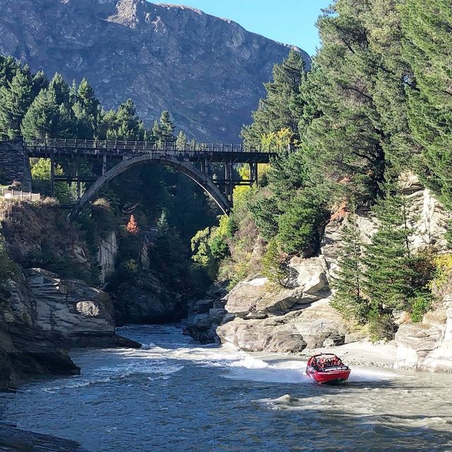 Adrenaline Rush in Queenstown