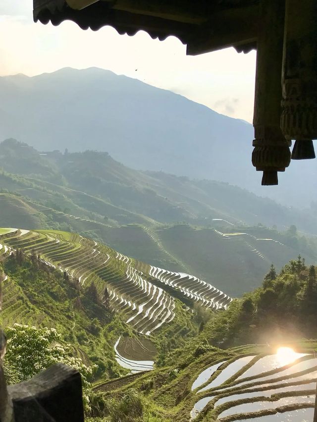 Guilin: Longsheng sunrise at rice terraces