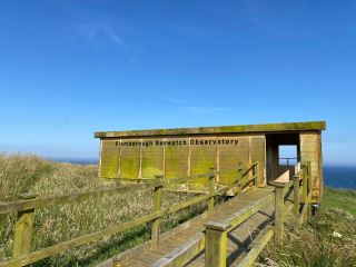 Stunning Views at Flamborough Seawatch Observatory 🌊🔭