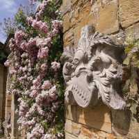 Hever Castle & Gardens 🇬🇧