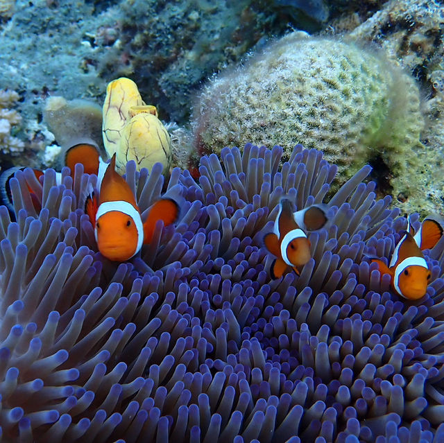 Stunning Boracay even for a weekend trip