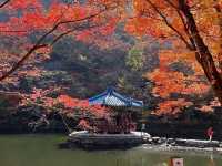 Naejangsan national park Korea 