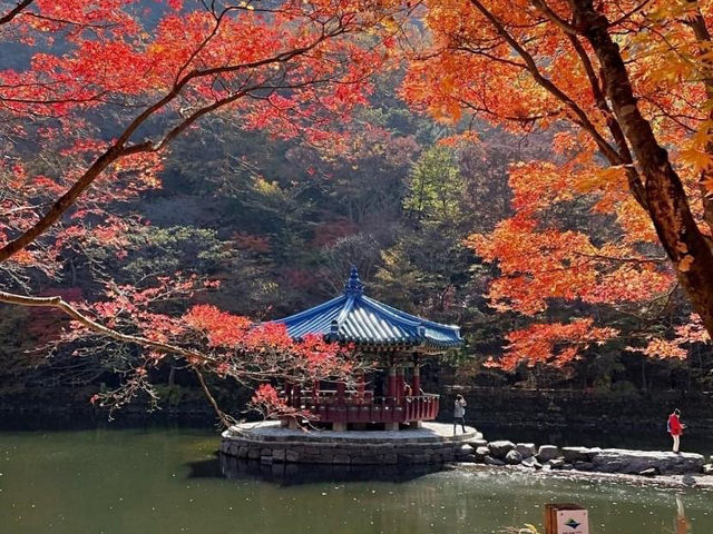 Naejangsan national park Korea 