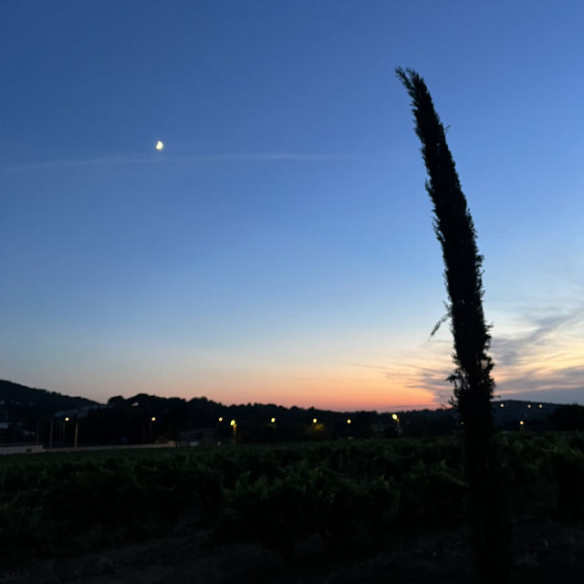 Sunny Days & Sips: The Perfect South of France Escape 🌞🍷