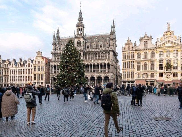 ชมแสงสีคริสต์มาสสุดอลังการที่จตุรัส Grand Place