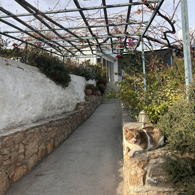 Athens 