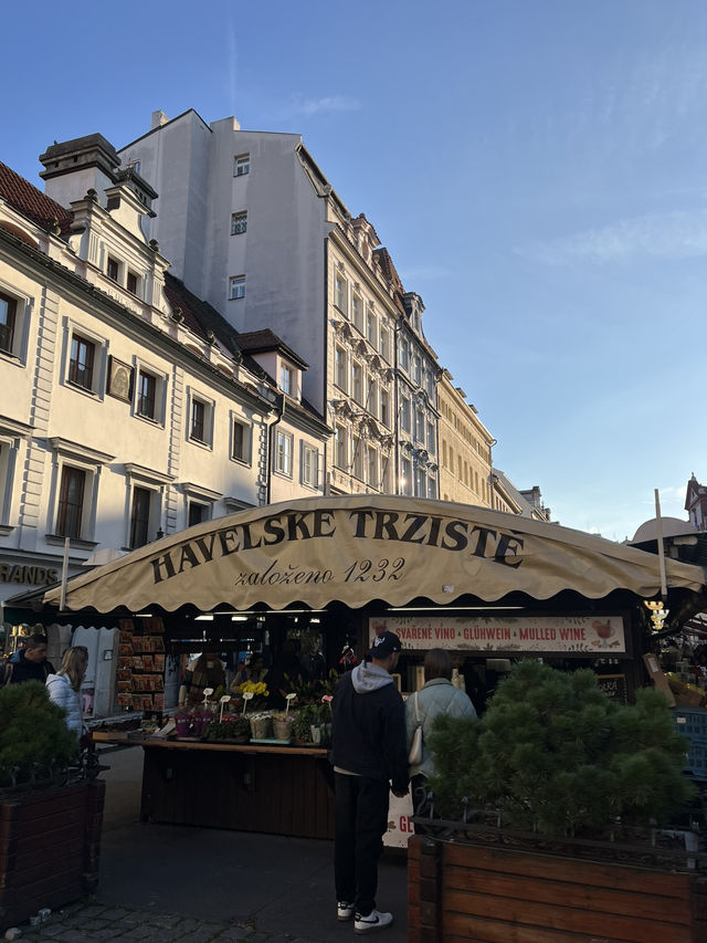 🇨🇿哈維爾市集（Havelské tržiště）🍓🫐🍒