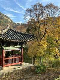 🍂⛰️ Autumn Hiking in Bukhansan: Seoul’s Mountain Escape