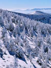 Tokyo to Yamagata Zao Onsen: The Perfect Getaway for Skiers & Non-Skiers Alike ❄️🏔️♨️