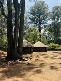 Bomas of Kenya – Where Kenya’s Cultures Come Alive 🛖
