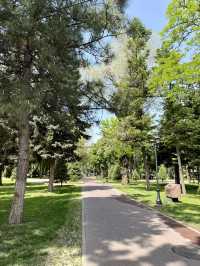 Spring Vibes at Tattybübü Tursunbayeva Garden Square, Bishkek