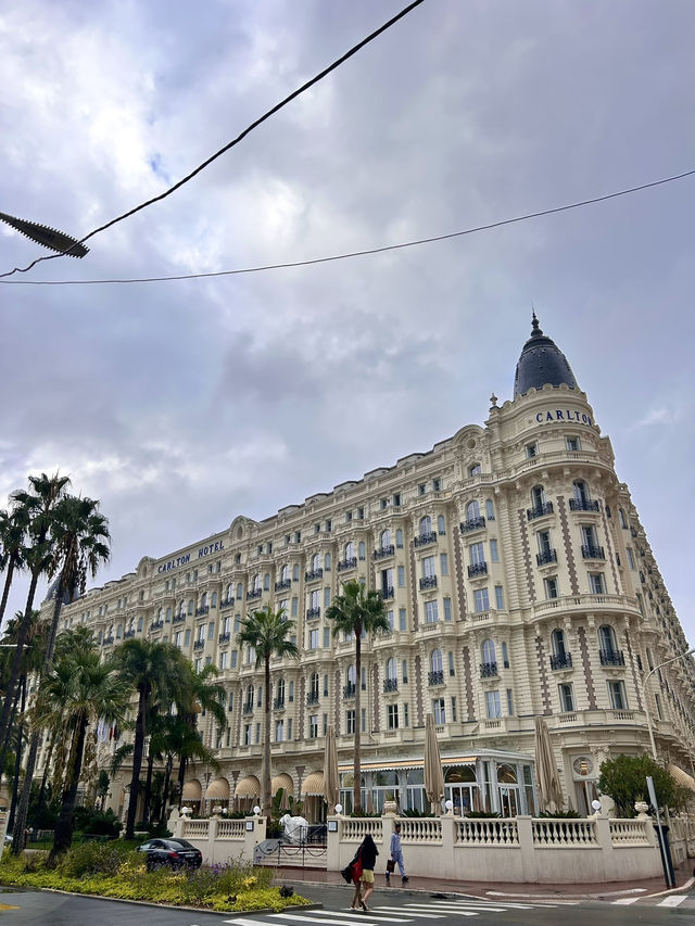 Dreams in Cannes