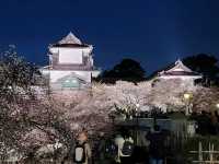 Kanazawa Escape: Blossoms, Kimonos, and Timeless Charm