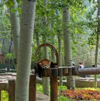 Beijing Wildlife Park from Daxing airport