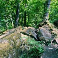 🌿 Manchester to Ladybower Wood: A Mossy Forest Escape in the Peak District