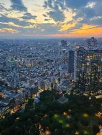 ✨ Best Spots for Tokyo Skyline Views: Free and Paid Options