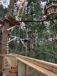 Climbing Forest For Adventure Seeker