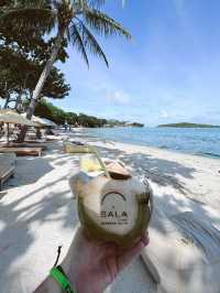 🌴 Koh Samui: Thailand’s Irresistible Tropical Poem 🐚🌺  