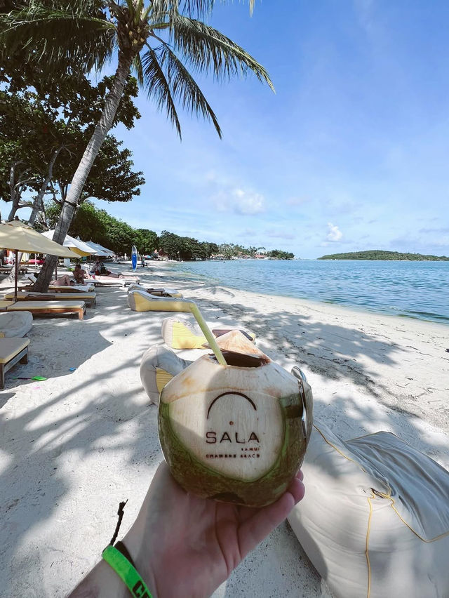 🌴 Koh Samui: Thailand’s Irresistible Tropical Poem 🐚🌺  