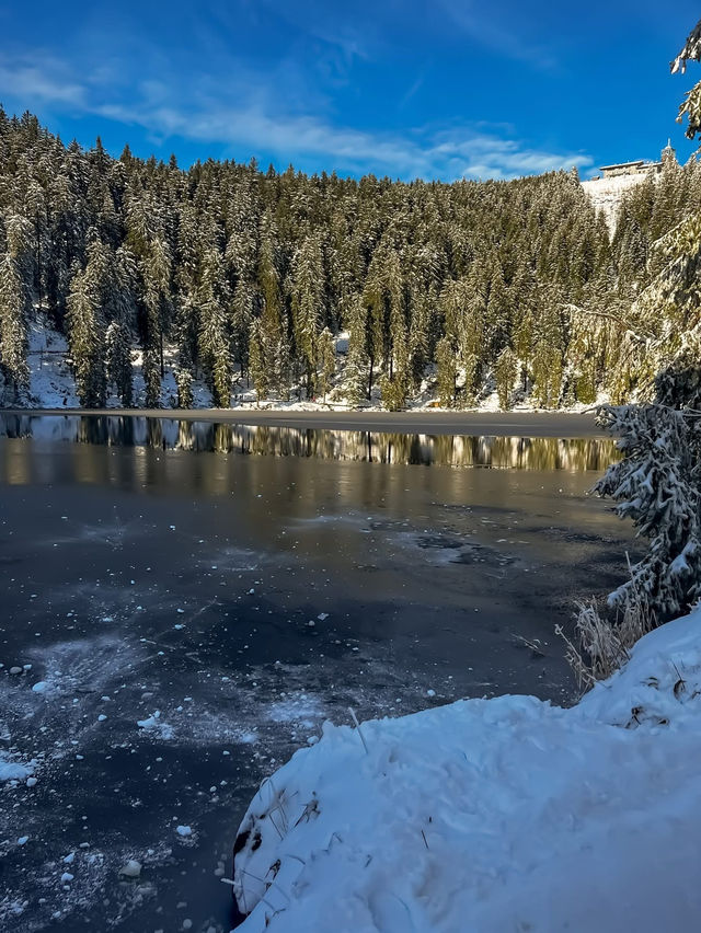 A magical escape to Mummelsee — the Black Forest’s hidden gem 🌲