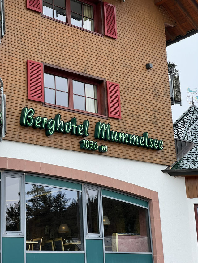 Schwarzwald: Where fairy tales are born and nature speaks in whispers of pine 🇩🇪🌲🏞️
