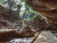 Thung Nham Bird Park: A Hidden Oasis in Tam Coc, Vietnam