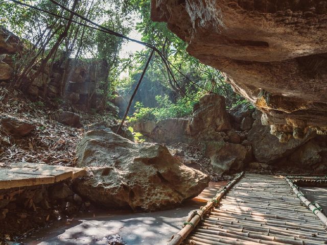 Thung Nham Bird Park: A Hidden Oasis in Tam Coc, Vietnam