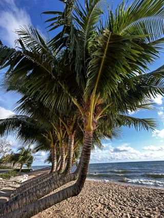 Phu Quok beach 🏝️-one of the most beautiful in the world 🌎!