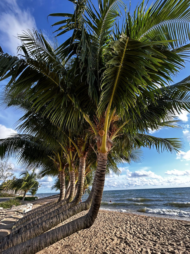 Phu Quok beach 🏝️-one of the most beautiful in the world 🌎!