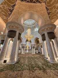 Abu Dhabi Moments🌴