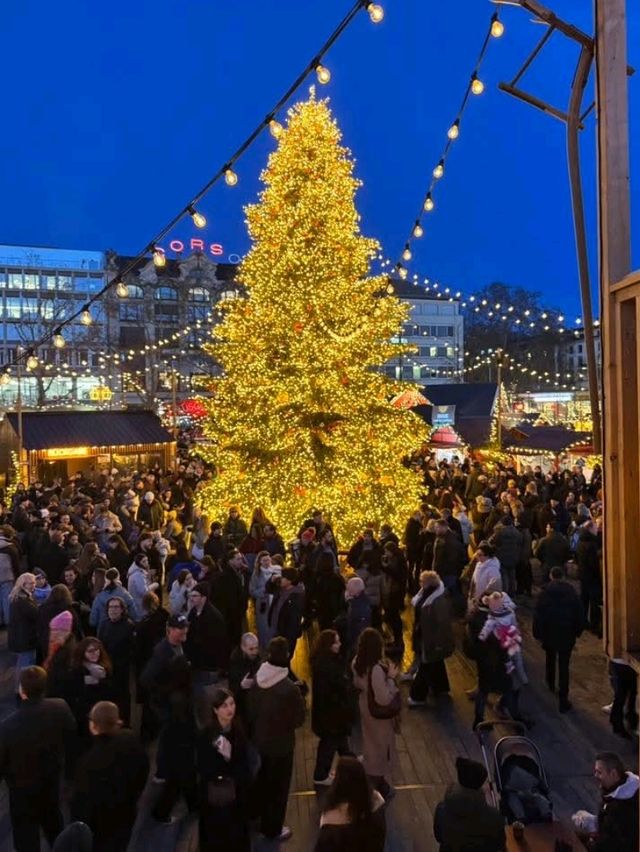 Sparkle at Night✨ Sparkle at Night✨