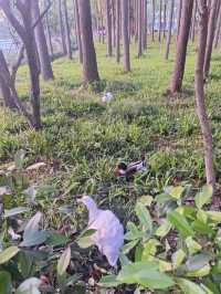 Красивые локации для фото в Шанхае (часть 2)