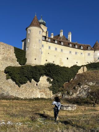 มิลค์ อาร์ต เมจิก🌸