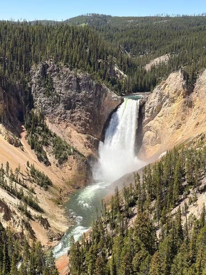 Photos vs Reality: Epic Road Trip on Yellowstone’s Lower Loop 🚗🌲