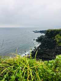 Jeju Island Travel Route Recommendation | Take a spontaneous trip