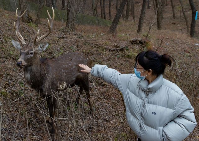 Dalian Travel Guide | Collection of off-the-beaten-path spots without long queues