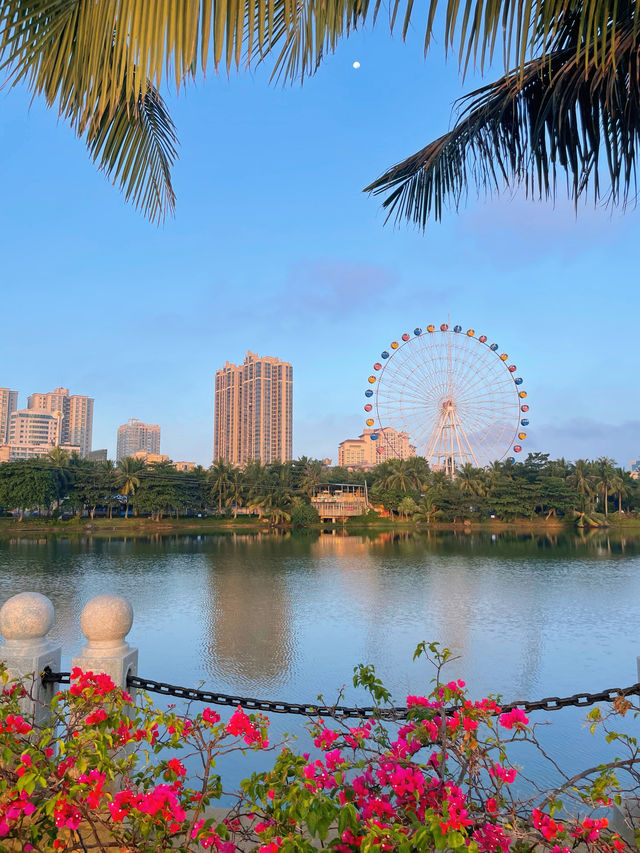 Zhanjiang Tourism | 📍Seaside Park has sunrise, coconut groves and beach.