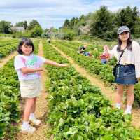 Harvesting Happiness: Fruits and Vegetables 