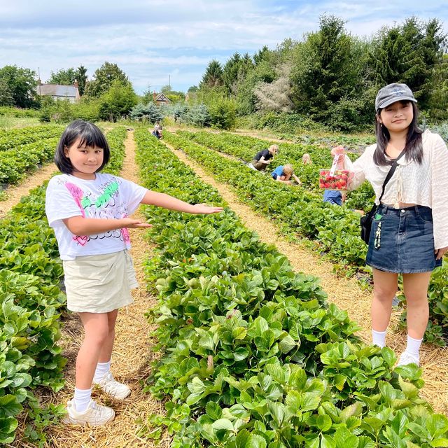 Harvesting Happiness: Fruits and Vegetables 