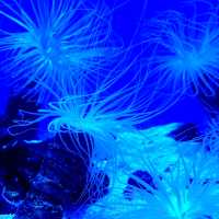 Shanghai | Mysteries Of Underwater 🫧