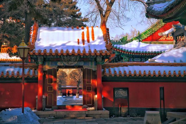 一下雪，哈爾賓文廟就變成了故宮