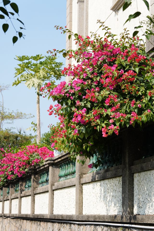 【廈門穿梭】跟珠海很像的海上花園城市2