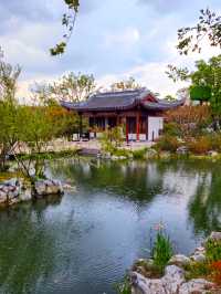 秋季遊申園，拍照絕佳時