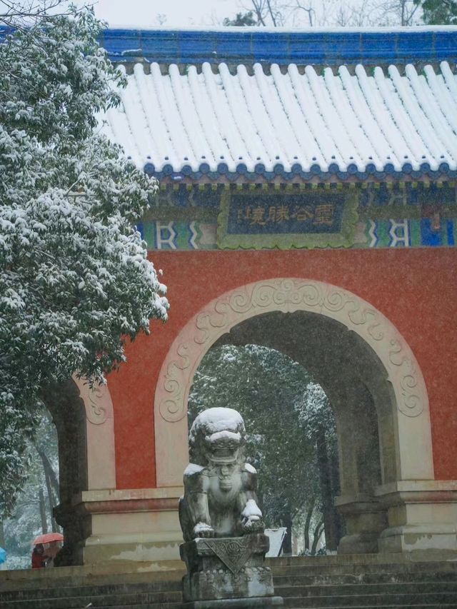 Snowfall in Linggu Temple!