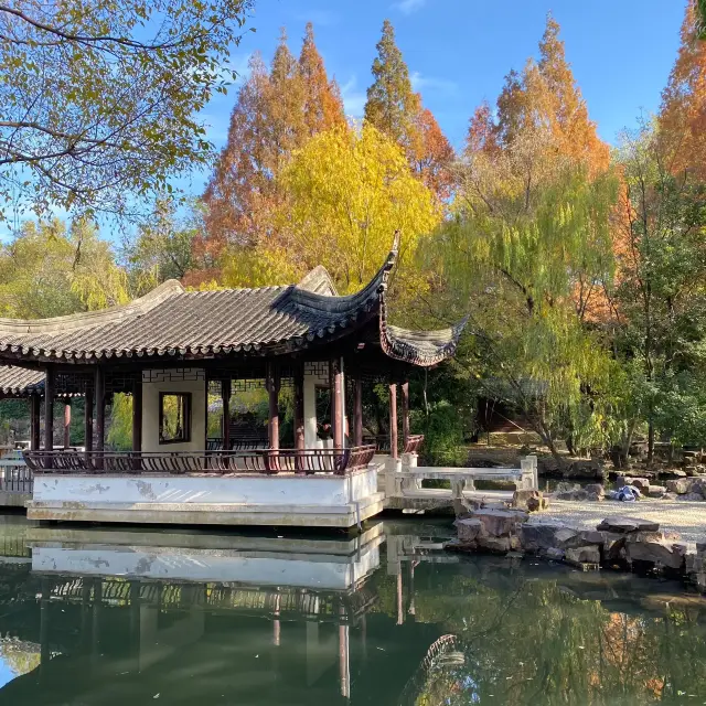 秋色甚好，深秋一定得來一次東園