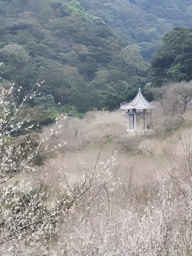 石門國家森林公園