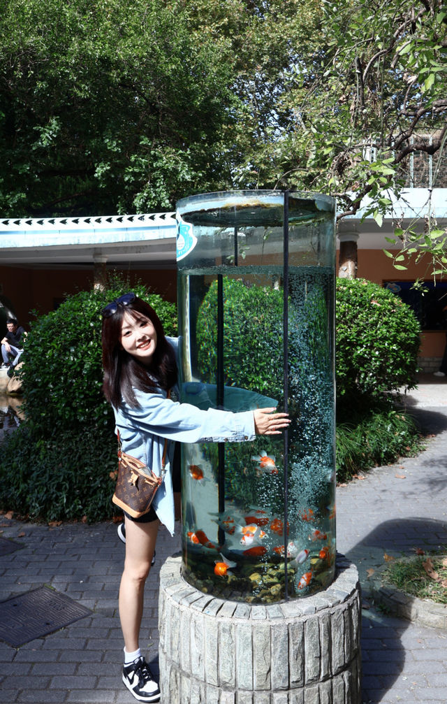 上海動物園｜這裡允許你童心未泯